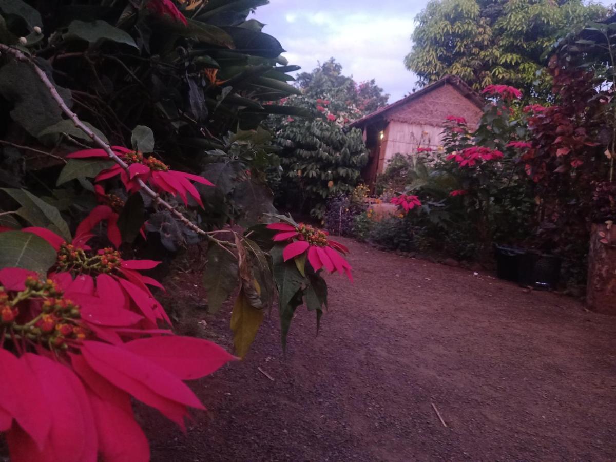 Tribal Village Homestay & Trekking Banlung Zewnętrze zdjęcie