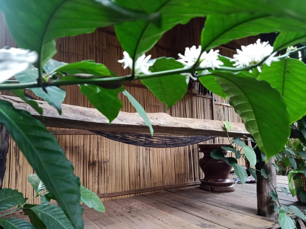 Tribal Village Homestay & Trekking Banlung Zewnętrze zdjęcie
