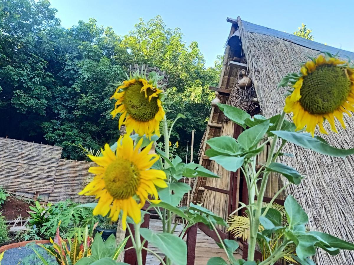 Tribal Village Homestay & Trekking Banlung Zewnętrze zdjęcie