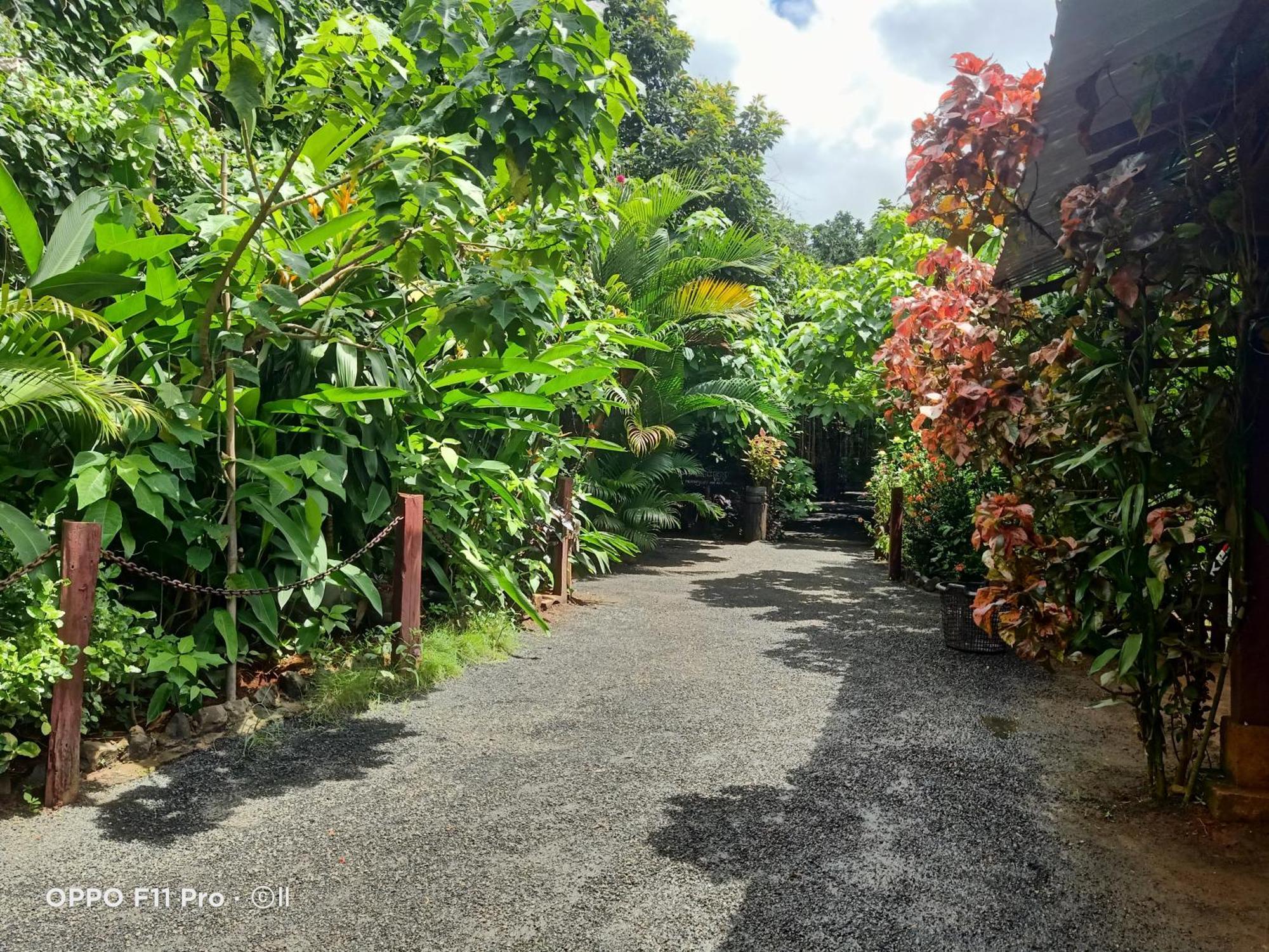 Tribal Village Homestay & Trekking Banlung Zewnętrze zdjęcie